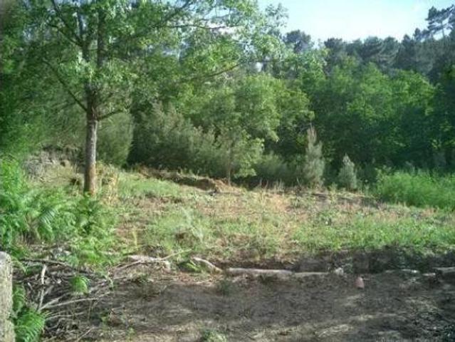 Casa Rural en venta en O Ribeiro, Galicia