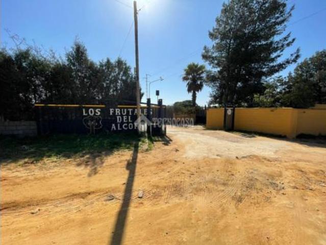 Casa Rural en venta en Urbanización Los Frutales del Alcor, Carmona
