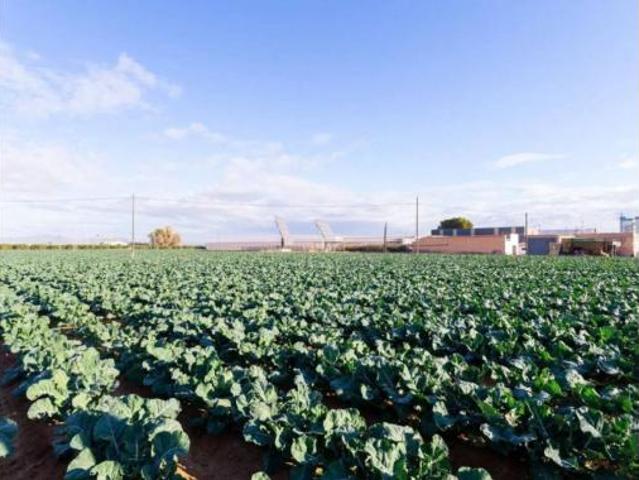 Casa Rural en venta en Pozo Estrecho, Campo de Cartagena y Mar Menor