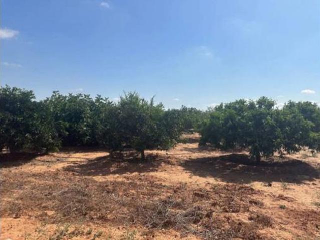 Casa Rural en venta en La Magdalena, Campo de Cartagena y Mar Menor