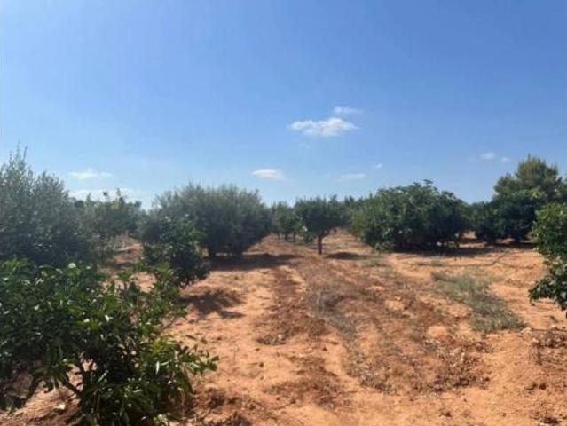 Casa Rural en venta en La Magdalena, Campo de Cartagena y Mar Menor