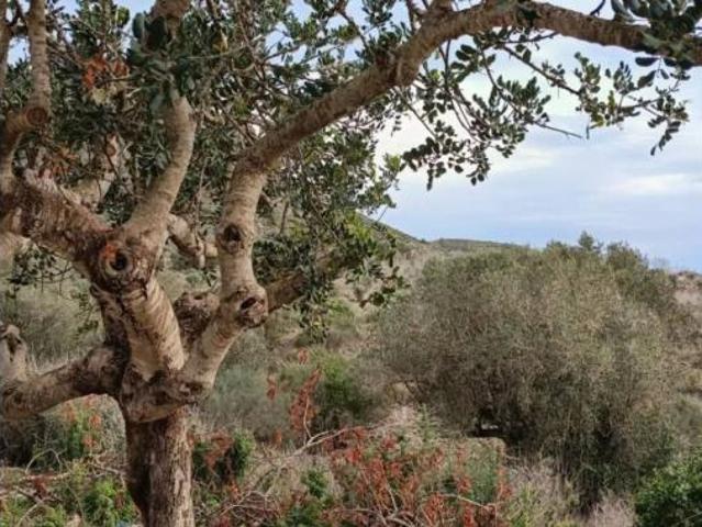 Casa Rural en venta en La Aljorra, Campo de Cartagena y Mar Menor