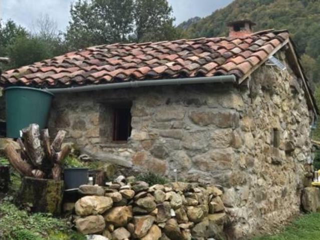 Casa Rural en venta en Caso, Asturias