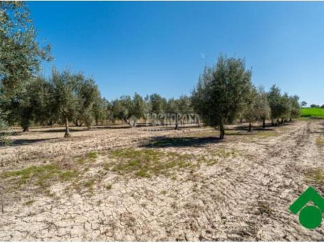 Casa Rural en venta en Comarca de la Vega de Granada, Andalucía