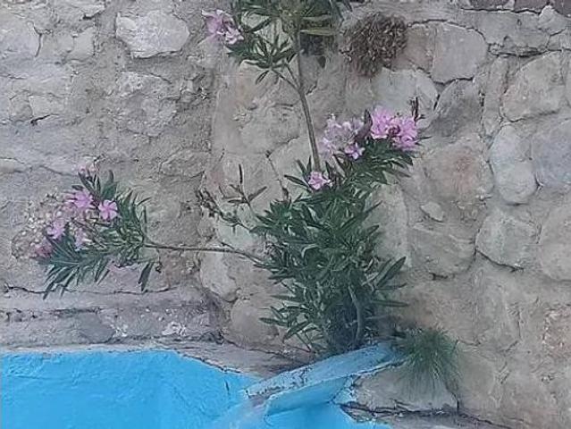 Casa Rural en venta en els Algars, el Comtat