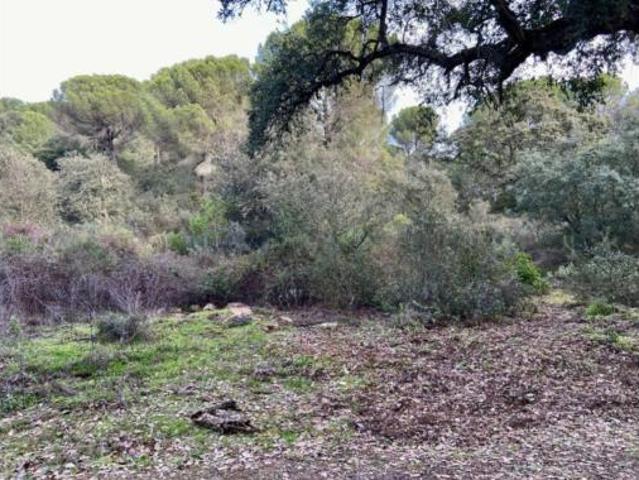 Casa Rural en venta en Córdoba, Las Jaras