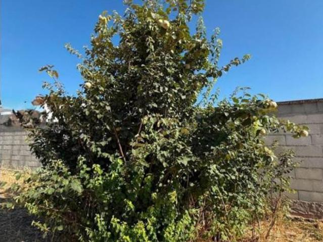 Casa Rural en venta en Las Jaras, Córdoba
