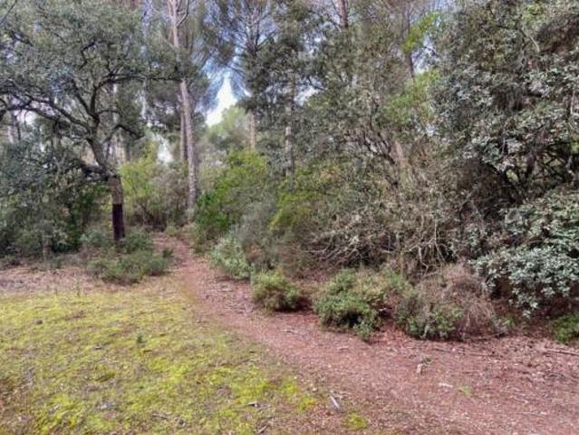 Casa Rural en venta en Las Jaras, Córdoba