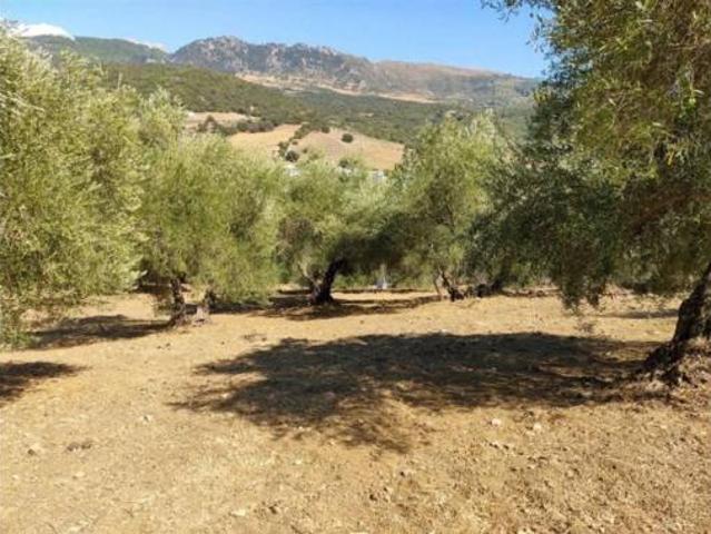 Casa Rural en venta en Serranía de Ronda, Andalucía
