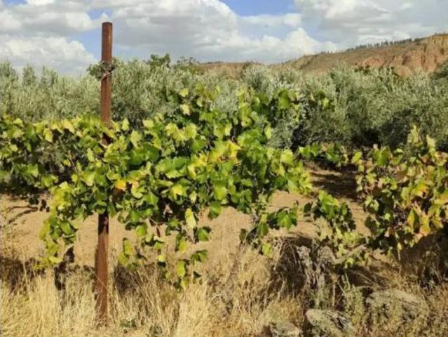 Casa Rural en venta en Comarca de Guadix, Andalucía