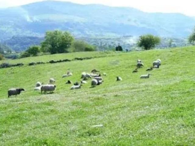 Casa Rural en venta en Corvera De Toranzo, Cantabria