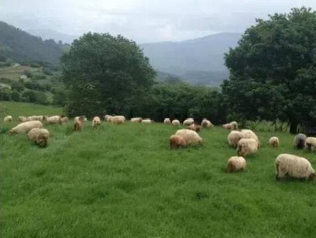 Casa Rural en venta en Corvera De Toranzo, Cantabria
