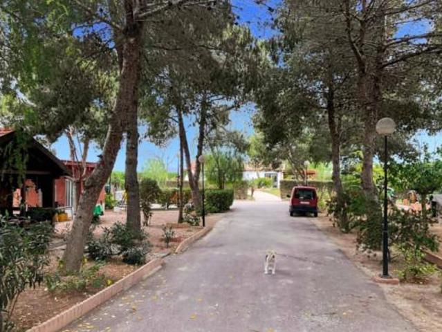 Casa Rural en venta en Dolores, Barrio de los Joses