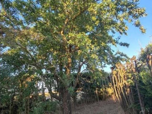 Casa Rural en venta en Doñinos De Salamanca, Castilla y León