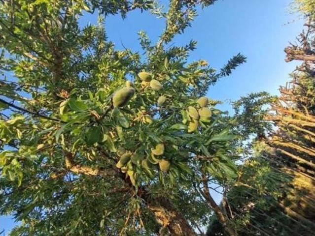 Casa Rural en venta en Doñinos De Salamanca, Salamanca