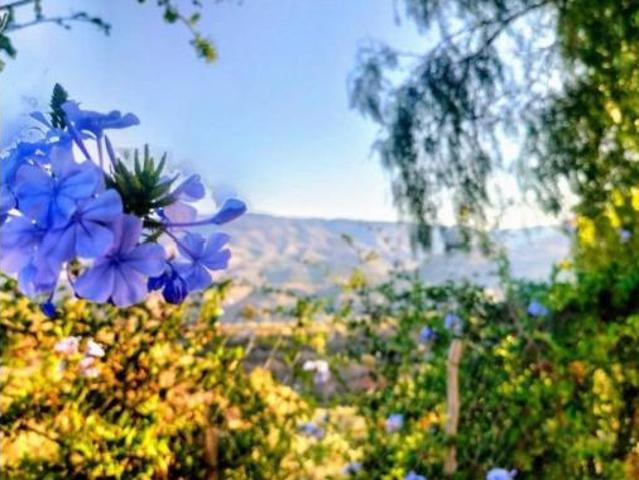Casa Rural en venta en Comarca del Valle de Lecrín, Andalucía