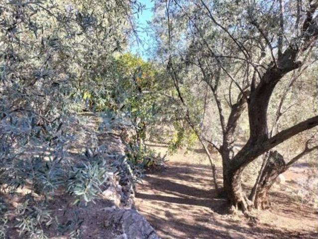 Casa Rural en venta en Pinos del Valle, Comarca del Valle de Lecrín