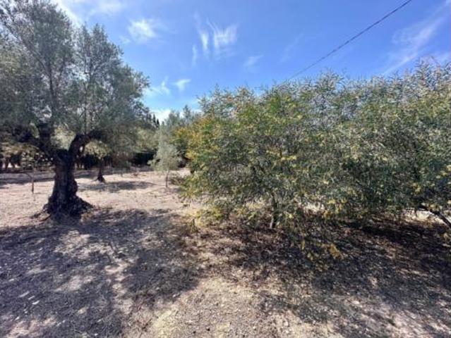 Casa Rural en venta en el Vinalopó Mitjà / El Vinalopó Medio, Valencia