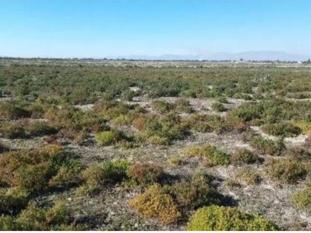 Casa Rural en venta en Candalix, el Baix Vinalopó