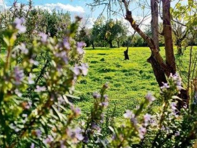 Casa Rural en venta en s'Esgleieta, Serra de Tramuntana