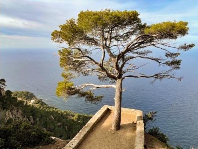 Casa Rural en venta en Serra de Tramuntana, Baleares
