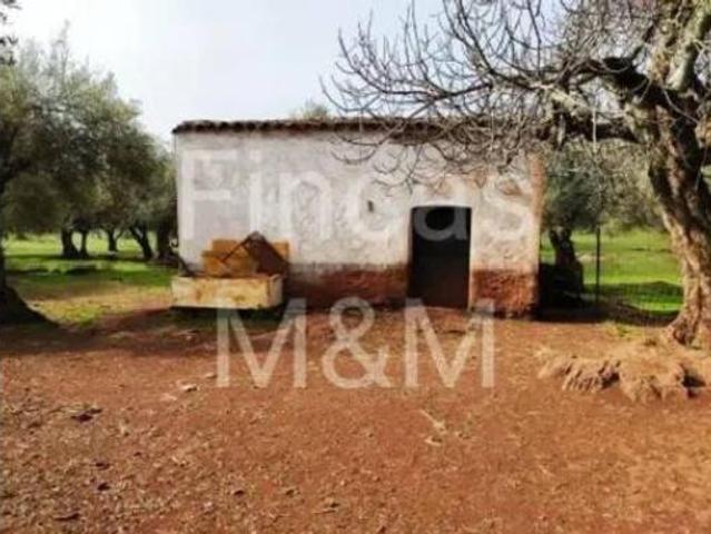 Casa Rural en venta en Fuentes De León, Extremadura