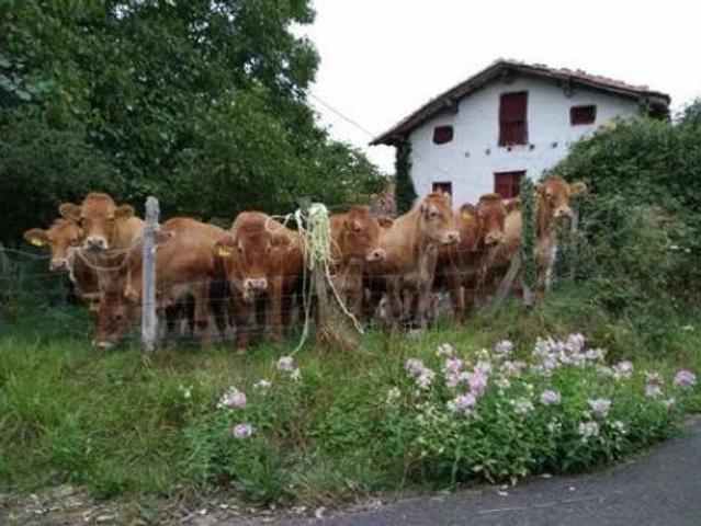 Casa Rural en venta en Gautegiz Arteaga, Guipúzcoa