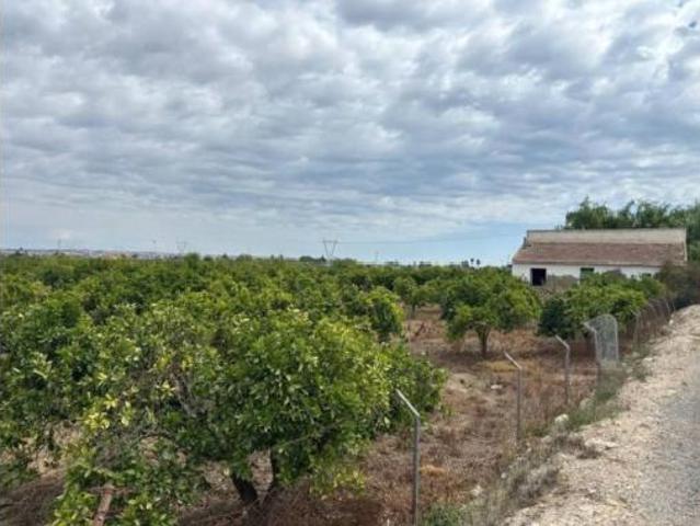 Casa Rural en venta en el Baix Segura / La Vega Baja, Valencia