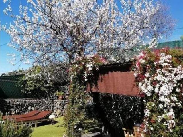 Casa Rural en venta en Guía de Isora, Canarias