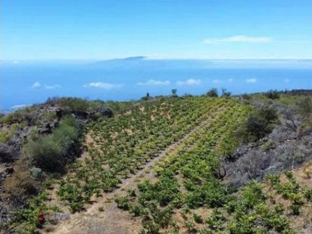 Casa Rural en venta en Guía de Isora, Canarias