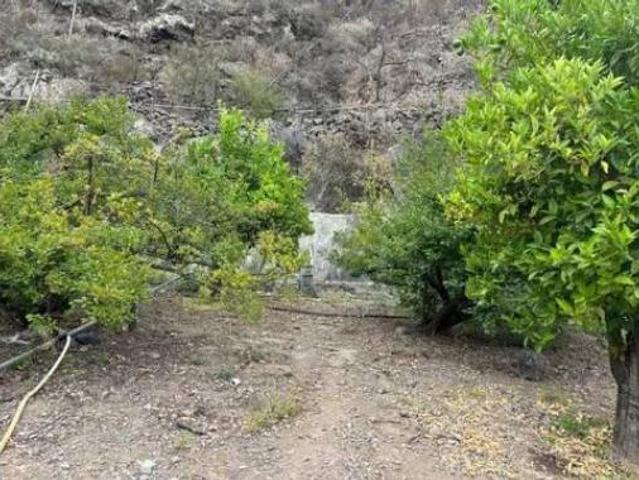 Casa Rural en venta en Guía de Isora, Canarias