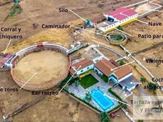 Casa Rural en venta en Llanos de Olivenza, Extremadura