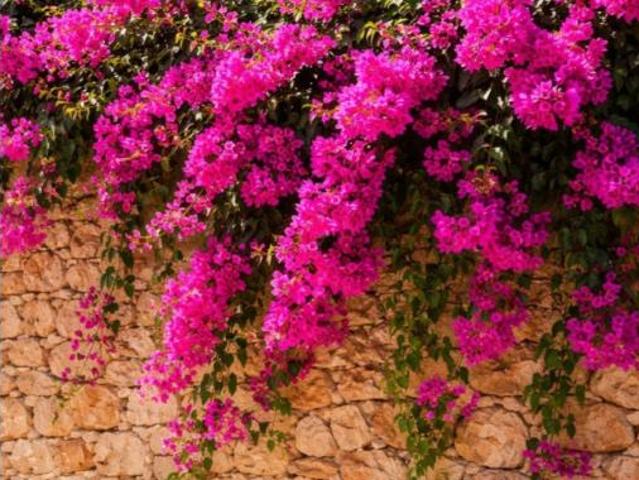 Casa Rural en venta en Raiguer, Baleares