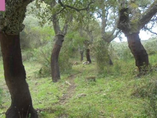 Casa Rural en venta en Campiña de Jerez, Andalucía