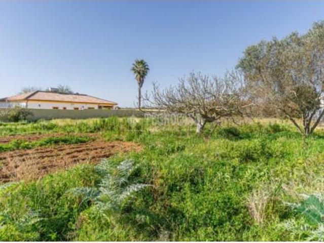 Casa Rural en venta en Guadalcacín, Campiña de Jerez