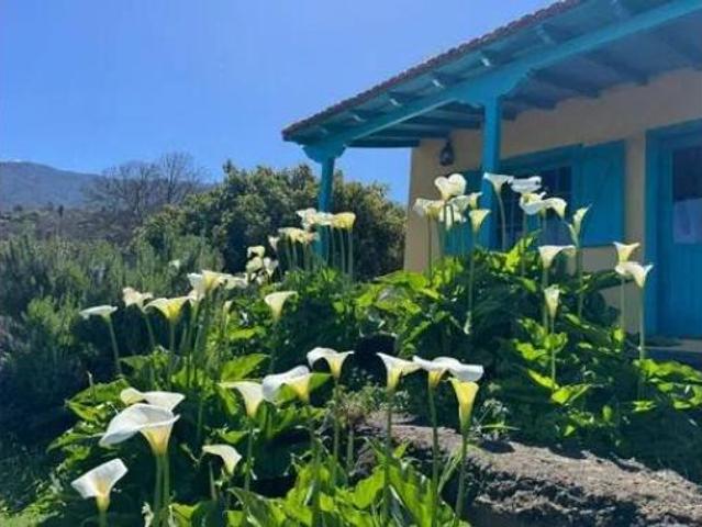 Casa Rural en venta en Camino de Chasna-Montijos, La orotava