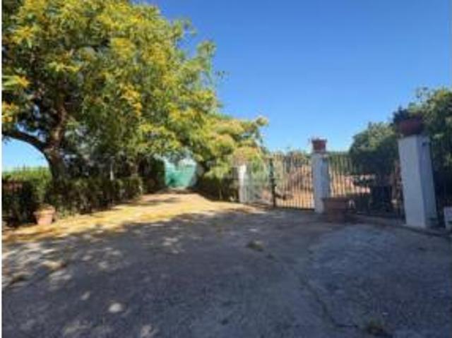 Casa Rural en venta en La Rinconada, Andalucía
