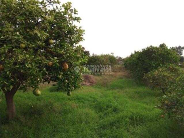 Casa Rural en venta en San José de la Rinconada, La Rinconada