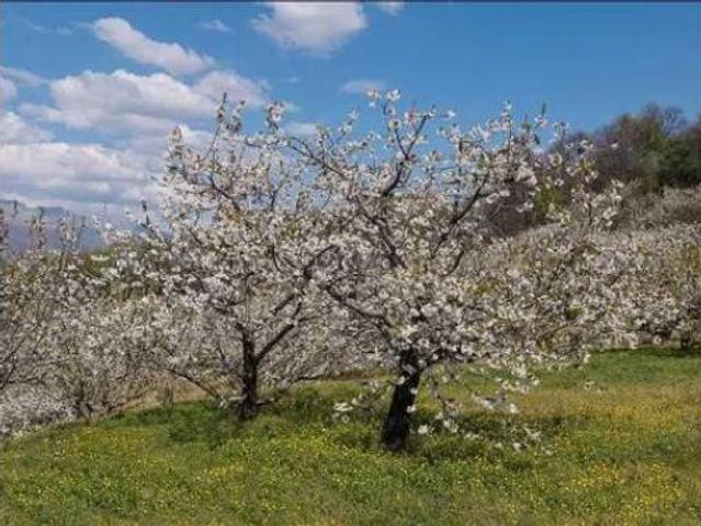 Casa Rural en venta en la Marina Alta, Valencia