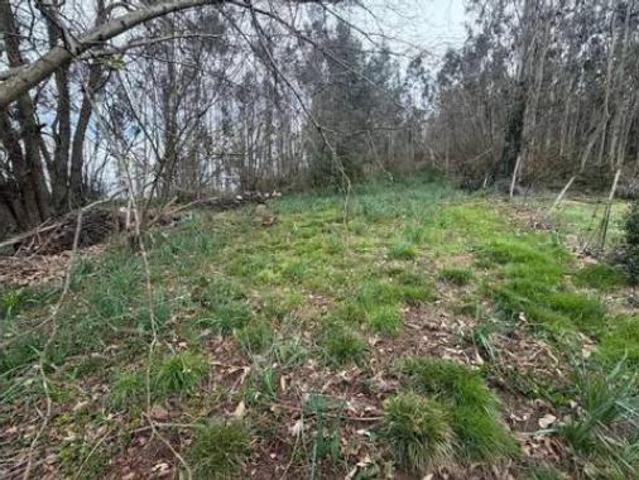 Casa Rural en venta en Las Regueras, Asturias