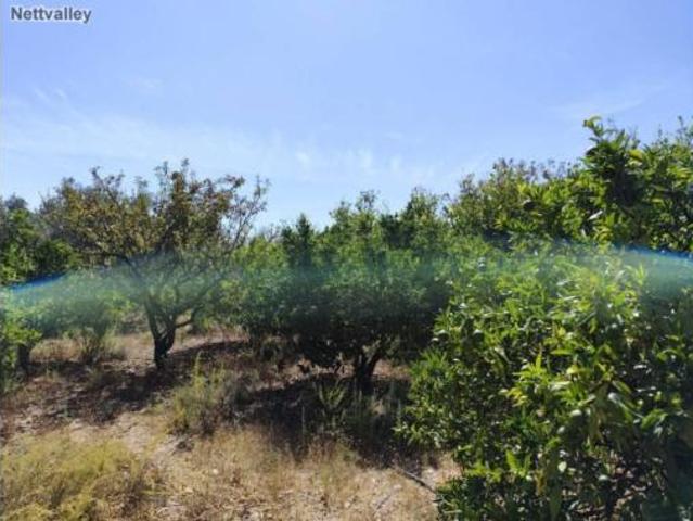 Casa Rural en venta en Talará, Comarca del Valle de Lecrín