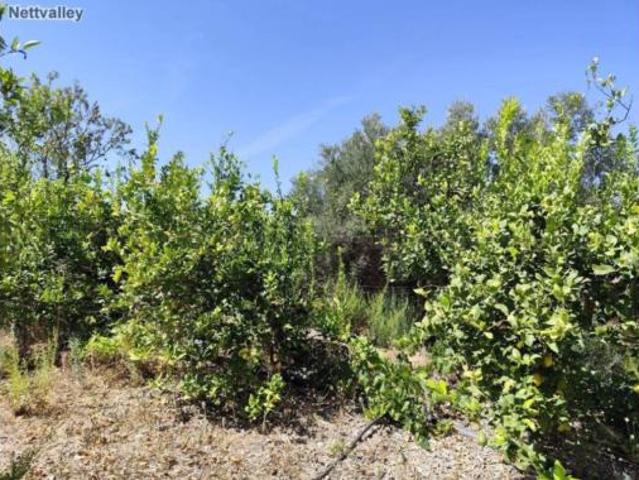 Casa Rural en venta en Talará, Comarca del Valle de Lecrín