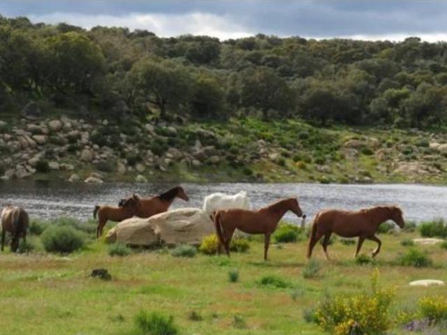 Casa Rural en venta en Ledesma, Castilla y León