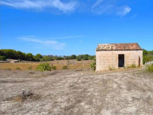Casa Rural en venta en Pla de Mallorca, Baleares