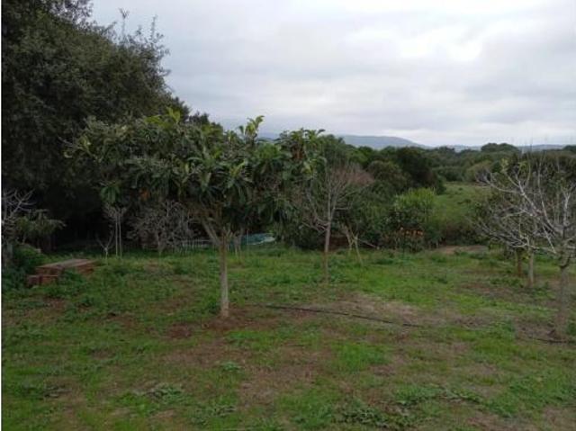 Casa Rural en venta en Campo de Gibraltar, Andalucía