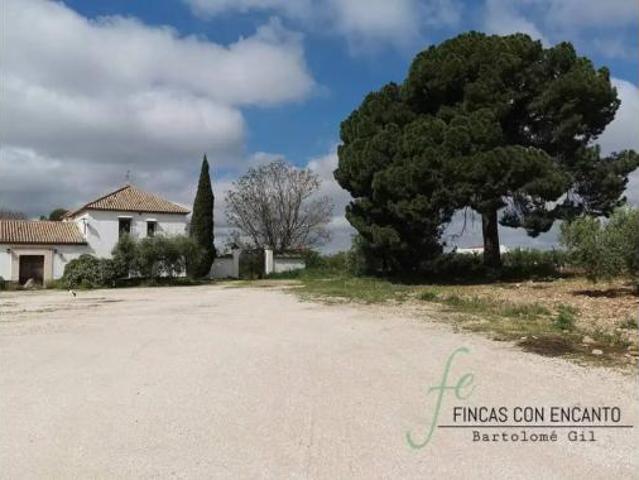 Casa Rural en venta en Marchena, Andalucía