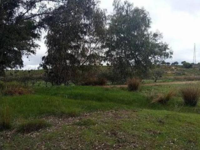 Casa Rural en venta en Polígono Industrial Cepansa, Mérida