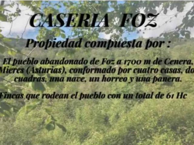 Casa Rural en venta en Mieres, Asturias