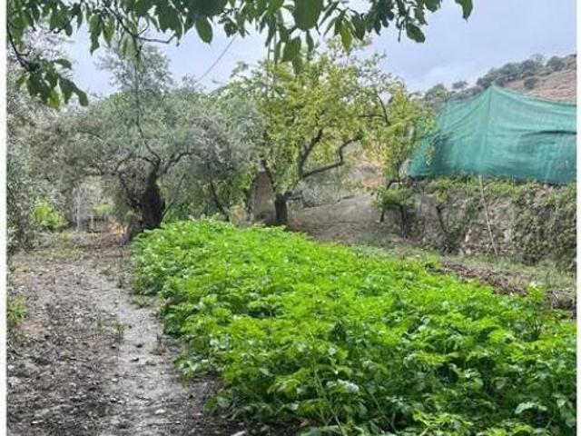 Casa Rural en venta en Comarca de la Vega de Granada, Andalucía