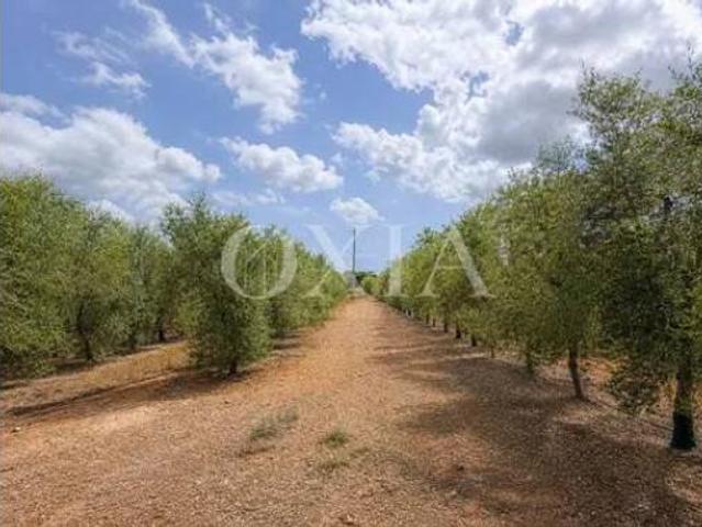 Casa Rural en venta en Baix Camp, Catalunya